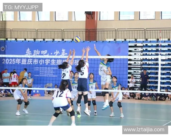 重庆排球队在大师赛中的耐力表现分析与总结